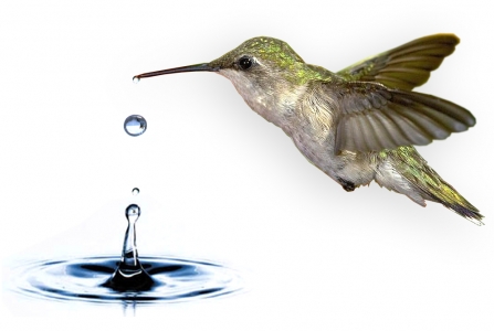Capa distribuidor Acqua Flora Distribuidora de Agua e Bebidas Ltda